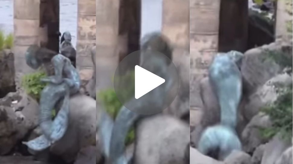viral Video: ಸಮುದ್ರದ ದಡದಲ್ಲಿ ಅರ್ಧಾಂಗಿಯ ಜೊತೆ ಕೂತ 'ಮತ್ಸ್ಯಕನ್ಯೆ'! ಪ್ರವಾಸಿಗರಿಗೆ ಕಂಡಿದ್ದು ಬೆಲೆ ಕಟ್ಟಲಾಗದ ದೃಶ್ಯ viral Video: ಸಮುದ್ರದ ದಡದಲ್ಲಿ ಅರ್ಧಾಂಗಿಯ ಜೊತೆ ಕೂತ 'ಮತ್ಸ್ಯಕನ್ಯೆ'! ಪ್ರವಾಸಿಗರಿಗೆ ಕಂಡಿದ್ದು ಬೆಲೆ ಕಟ್ಟಲಾಗದ ದೃಶ್ಯ