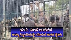ಹುಲಿ, ಚಿರತೆ ಉಪಟಳ: ಅರಣ್ಯ ಸಿಬ್ಬಂದಿಯನ್ನೇ ಬೋನಿಗೆ ಕೂಡಿ ಹಾಕಿದ ರೈತರು