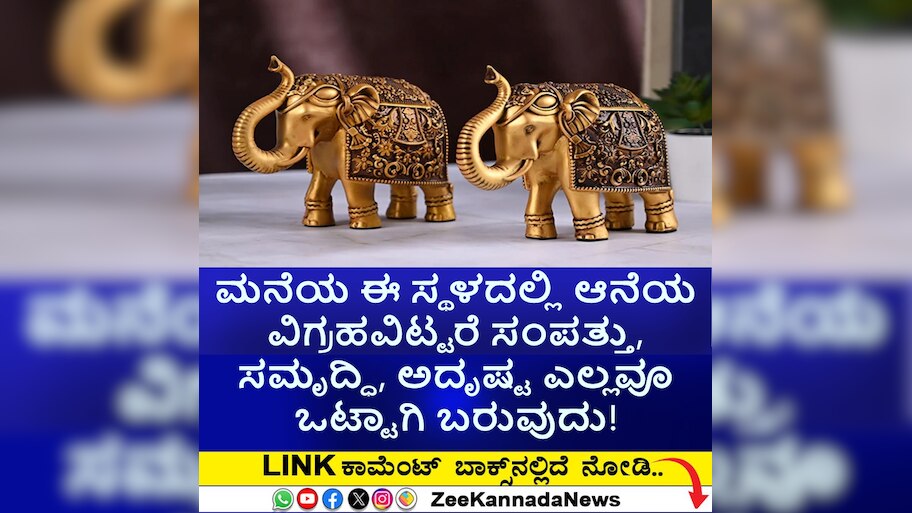 ಮನೆಯ ಈ ಸ್ಥಳದಲ್ಲಿ ಆನೆಯ ವಿಗ್ರಹವಿಟ್ಟರೆ ಸಂಪತ್ತು, ಸಮೃದ್ಧಿ, ಅದೃಷ್ಟ ಎಲ್ಲವೂ ಒಟ್ಟಾಗಿ ಬರುವುದು! 