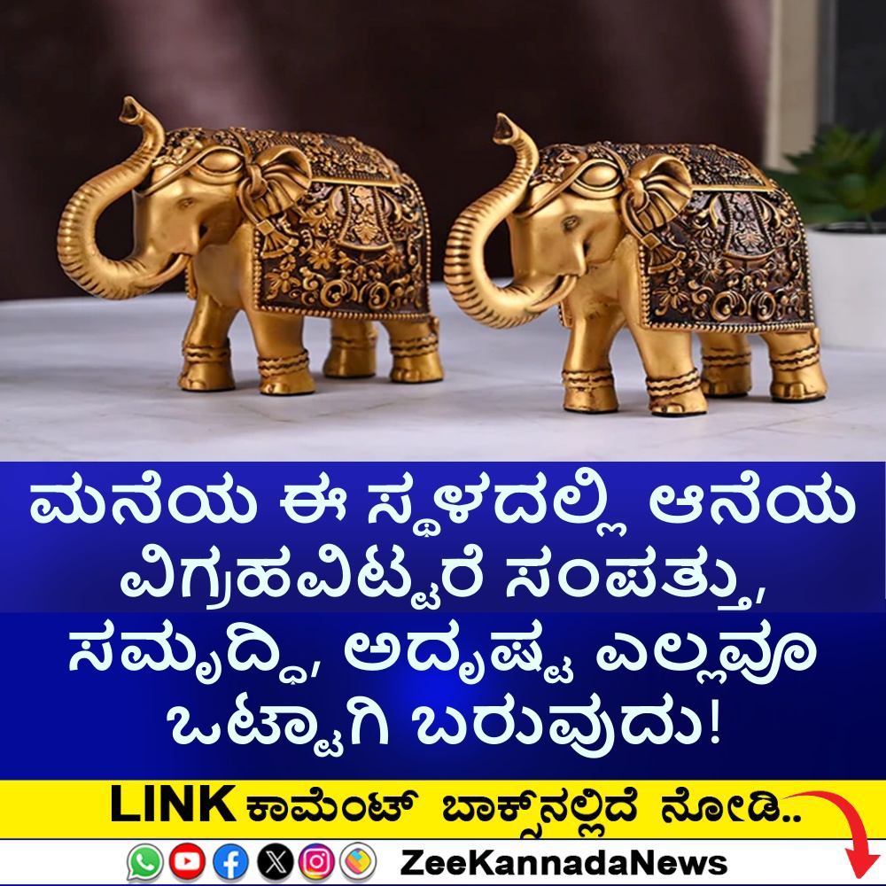 ಮನೆಯ ಈ ಸ್ಥಳದಲ್ಲಿ ಆನೆಯ ವಿಗ್ರಹವಿಟ್ಟರೆ ಸಂಪತ್ತು, ಸಮೃದ್ಧಿ, ಅದೃಷ್ಟ ಎಲ್ಲವೂ ಒಟ್ಟಾಗಿ ಬರುವುದು! ಮನೆಯ ಈ ಸ್ಥಳದಲ್ಲಿ ಆನೆಯ ವಿಗ್ರಹವಿಟ್ಟರೆ ಸಂಪತ್ತು, ಸಮೃದ್ಧಿ, ಅದೃಷ್ಟ ಎಲ್ಲವೂ ಒಟ್ಟಾಗಿ ಬರುವುದು!