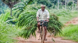  ರೈತರಿಗೆ ದೀಪಾವಳಿಗೂ ಮುನ್ನವೇ ಗುಡ್ ನ್ಯೂಸ್ ನೀಡಲು ಮುಂದಾದ ಕೇಂದ್ರ ಸರ್ಕಾರ..! ಇಲ್ಲಿದೆ ಲೇಟೆಸ್ಟ್ ಅಪ್ಡೇಟ್..!