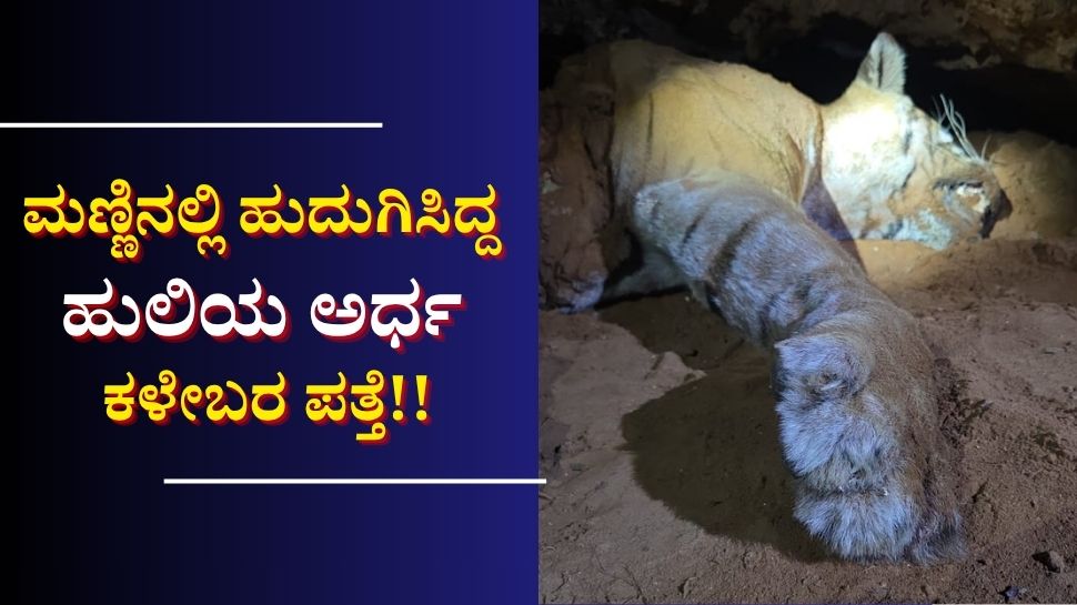ಶಾಕಿಂಗ್... ಮಣ್ಣಿನಲ್ಲಿ ಹುದುಗಿಸಿದ್ದ ಹುಲಿಯ ಅರ್ಧ ಕಳೇಬರ ಪತ್ತೆ!! ಶಾಕಿಂಗ್... ಮಣ್ಣಿನಲ್ಲಿ ಹುದುಗಿಸಿದ್ದ ಹುಲಿಯ ಅರ್ಧ ಕಳೇಬರ ಪತ್ತೆ!!