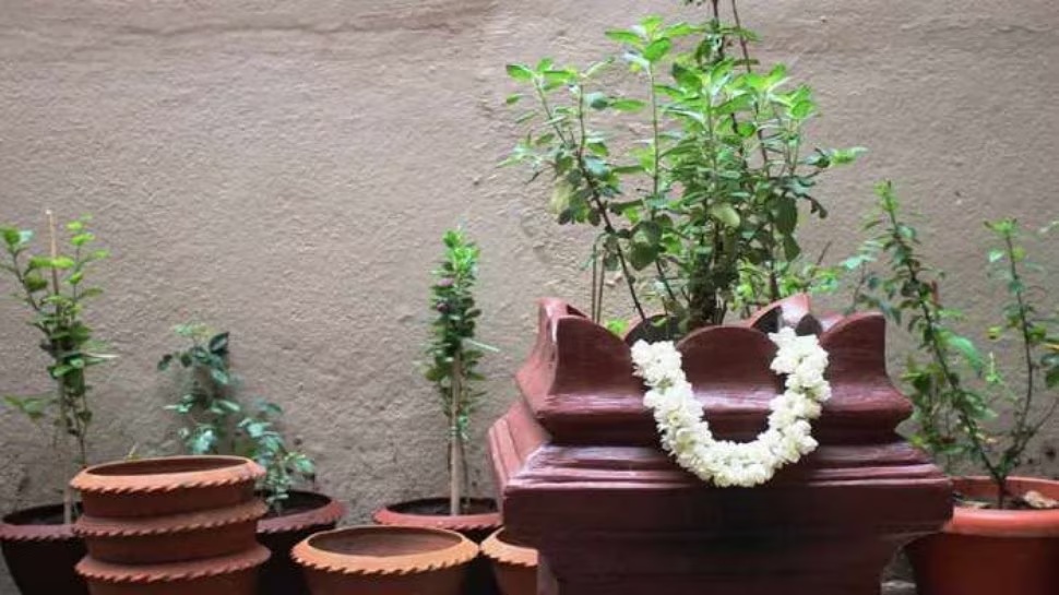 ಕಾರ್ತಿಕ ಮಾಸದಲ್ಲಿ ತುಳಸಿ ಗಿಡದ ಬಳಿ ಈ ಒಂದು ವಸ್ತು ಇರಿಸಿ; ಅದೃಷ್ಟ ಒಲಿಯುವುದು... ಸಾಲವೆಲ್ಲ ತೀರಿ ಹೋಗಿ ಸಿರಿವಂತರಾಗುವಿರಿ! ಕಾರ್ತಿಕ ಮಾಸದಲ್ಲಿ ತುಳಸಿ ಗಿಡದ ಬಳಿ ಈ ಒಂದು ವಸ್ತು ಇರಿಸಿ; ಅದೃಷ್ಟ ಒಲಿಯುವುದು... ಸಾಲವೆಲ್ಲ ತೀರಿ ಹೋಗಿ ಸಿರಿವಂತರಾಗುವಿರಿ!