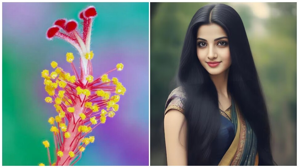 ಈ ಸಸ್ಯದ ಒಂದೇ ಒಂದು ಹೂವು ಸಾಕು... ಕೂದಲು ದಟ್ಟವಾಗಿ ಹುಲ್ಲು ಬೆಳೆದಂತೆ ಬೆಳೆಯುತ್ತವೆ!