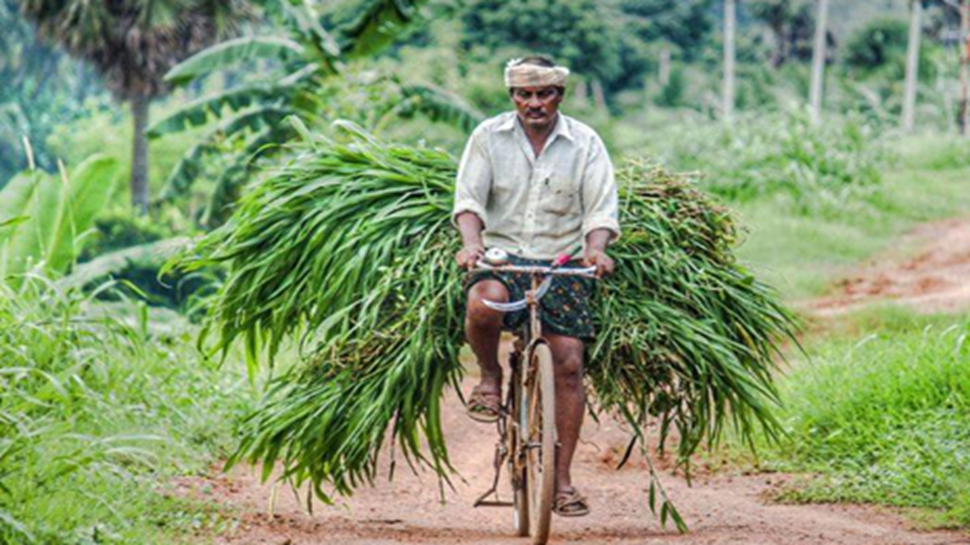 ರೈತರಿಗೆ ಗುಡ್ ನ್ಯೂಸ್.. ದೀಪಾವಳಿ ಹಬ್ಬಕ್ಕೆ ರೈತರಿಗೆ ಸಿಗಲಿದೆ 7000 ರೂ. ಉಡುಗೊರೆ...! ರೈತರಿಗೆ ಗುಡ್ ನ್ಯೂಸ್.. ದೀಪಾವಳಿ ಹಬ್ಬಕ್ಕೆ ರೈತರಿಗೆ ಸಿಗಲಿದೆ 7000 ರೂ. ಉಡುಗೊರೆ...!