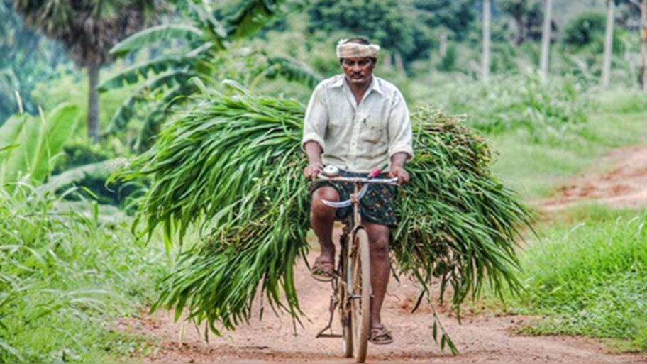 ರೈತರಿಗೆ ಗುಡ್ ನ್ಯೂಸ್.. ದೀಪಾವಳಿ ಹಬ್ಬಕ್ಕೆ ರೈತರಿಗೆ ಸಿಗಲಿದೆ 7000 ರೂ. ಉಡುಗೊರೆ...!