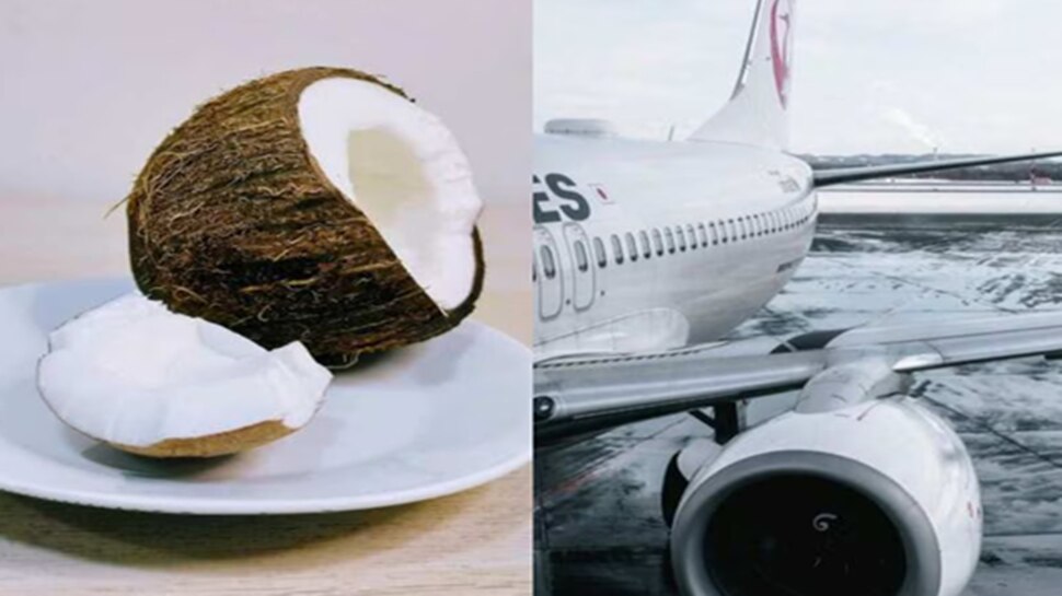 ನೀವು ವಿಮಾನದಲ್ಲಿ ತೆಂಗಿನಕಾಯಿ ತೆಗೆದುಕೊಂಡು ಹೋದರೆ ಜೈಲಿಗೆ ಹೋಗೋದು ಪಕ್ಕಾ..! ಇಲ್ಲಿದೆ ಇದಕ್ಕೆ ಕಾರಣ..!