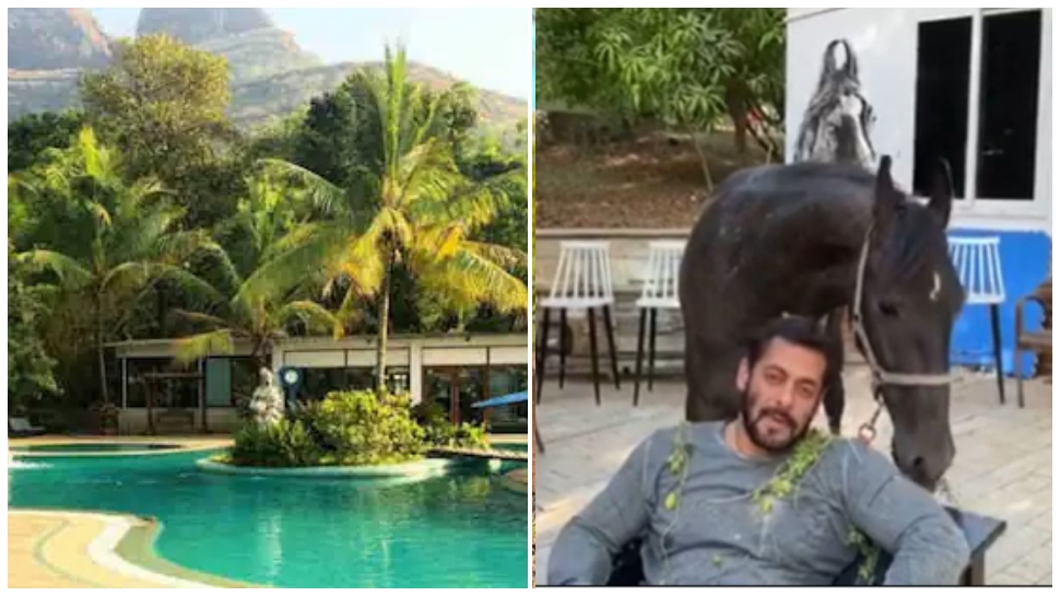 ಸಲ್ಮಾನ್ ಖಾನ್ ಫಾರ್ಮ್ ಹೌಸ್ನಲ್ಲಿ ಅದೇಲ್ಲಾ ನಡೆಯುತ್ತಾ..! ಸ್ಟಾರ್ ನಟನಿಂದ ಬಹಿರಂಗವಾಯ್ತು ಸಲ್ಲು ತೋಟದ ರಹಸ್ಯ ಸಲ್ಮಾನ್ ಖಾನ್ ಫಾರ್ಮ್ ಹೌಸ್ನಲ್ಲಿ ಅದೇಲ್ಲಾ ನಡೆಯುತ್ತಾ..! ಸ್ಟಾರ್ ನಟನಿಂದ ಬಹಿರಂಗವಾಯ್ತು ಸಲ್ಲು ತೋಟದ ರಹಸ್ಯ