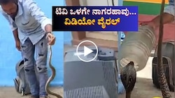 ಟಿವಿ ಒಳಗೇ ಸೇರಿಕೊಂಡು ಬುಸಗುಟ್ಟಿದ ನಾಗಪ್ಪ! ಮನೆಮಂದಿ ಶಾಕ್ ವಿಡಿಯೋ ವೈರಲ್ 