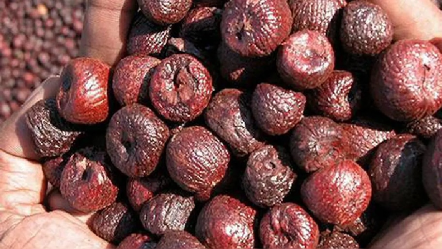 Arecanut price: ಅಡಿಕೆ ಧಾರಣೆ ದಾಖಲೆಯ ಏರಿಕೆ: 70 ಸಾವಿರ ಗಡಿ ದಾಟಿದ ಕ್ವಿಂಟಾಲ್ ಅಡಿಕೆ ದರ