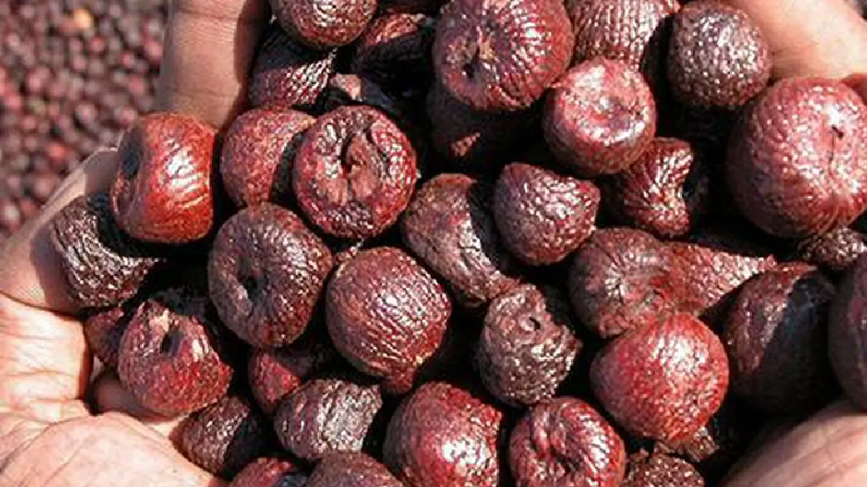 Arecanut price: ಅಡಿಕೆ ಧಾರಣೆ ದಾಖಲೆಯ ಏರಿಕೆ: 70 ಸಾವಿರ ಗಡಿ ದಾಟಿದ ಕ್ವಿಂಟಾಲ್ ಅಡಿಕೆ ದರ Arecanut price: ಅಡಿಕೆ ಧಾರಣೆ ದಾಖಲೆಯ ಏರಿಕೆ: 70 ಸಾವಿರ ಗಡಿ ದಾಟಿದ ಕ್ವಿಂಟಾಲ್ ಅಡಿಕೆ ದರ