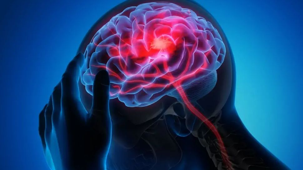 ಹೆಚ್ಚು ಸಕ್ಕರೆ ತಿನ್ನುವುದರಿಂದ Alzheimer ಬರುತ್ತಾ? ಅಧ್ಯಯನದಲ್ಲಿ ಬಹಿರಂಗವಾಯ್ತು ಶಾಕಿಂಗ್ ಸತ್ಯ.. ಹೆಚ್ಚು ಸಕ್ಕರೆ ತಿನ್ನುವುದರಿಂದ Alzheimer ಬರುತ್ತಾ? ಅಧ್ಯಯನದಲ್ಲಿ ಬಹಿರಂಗವಾಯ್ತು ಶಾಕಿಂಗ್ ಸತ್ಯ..