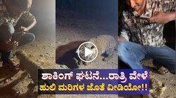 ಶಾಕಿಂಗ್ ಘಟನೆ...ರಾತ್ರಿ ವೇಳೆ ಹುಲಿ ಮರಿಗಳ ಜೊತೆ ವೀಡಿಯೋ!