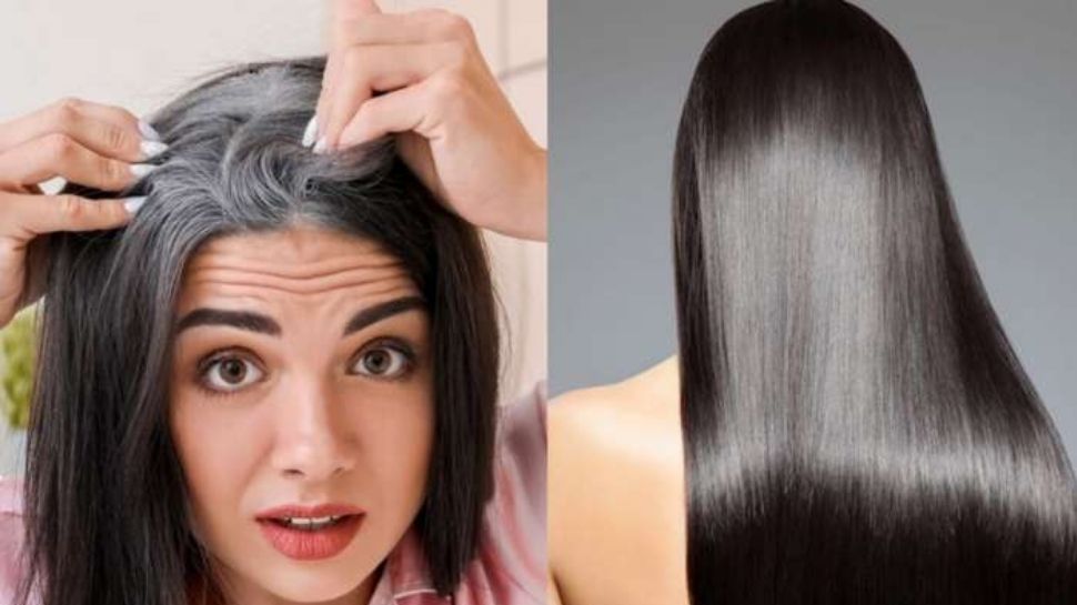 ನೀವು ಕಸ ಎಂದು ಬಿಸಾಡುವ ಈ ವಸ್ತುವಿನಿಂದ ನ್ಯಾಚುರಲ್ ಆಗಿ ಜಡದಿಂದ ಕಪ್ಪಾಗುತ್ತೆ ಬಿಳಿ ಕೂದಲು 