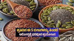 ಪ್ರತಿದಿನ ಈ 5 ಬೀಜಗಳನ್ನು ತಿಂದರೆ ಆರೋಗ್ಯಕ್ಕೆ ಭರಪೂರ ಪ್ರಯೋಜನ 