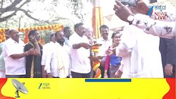 ನಂದಿ ಮೂರ್ತಿಗೆ ಕಡಲೆಕಾಯಿ ತುಲಾಭಾರ ಸೇವೆ