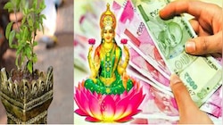 ತುಳಸಿ ಮುಂದೆ ಈ ರೀತಿ ದೀಪ ಹಚ್ಚಿದ್ರೆ ಕಷ್ಟಗಳೆಲ್ಲ ಪರಿಹಾರವಾಗುತ್ತವೆ! ಲಕ್ಷ್ಮಿದೇವಿಯ ಆಶೀರ್ವಾದ ಸದಾ ನಿಮ್ಮ ಮೇಲಿರುವುದು..