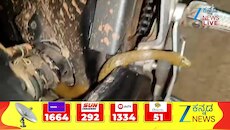 ಬೈಕ್‌ನಲ್ಲಿ ಕುಳಿತ ಹಾವು.. ವಿಡಿಯೋ ವೈರಲ್ 