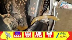 ಬೈಕ್‌ನಲ್ಲಿ ಕುಳಿತ ಹಾವು.. ವಿಡಿಯೋ ವೈರಲ್ 