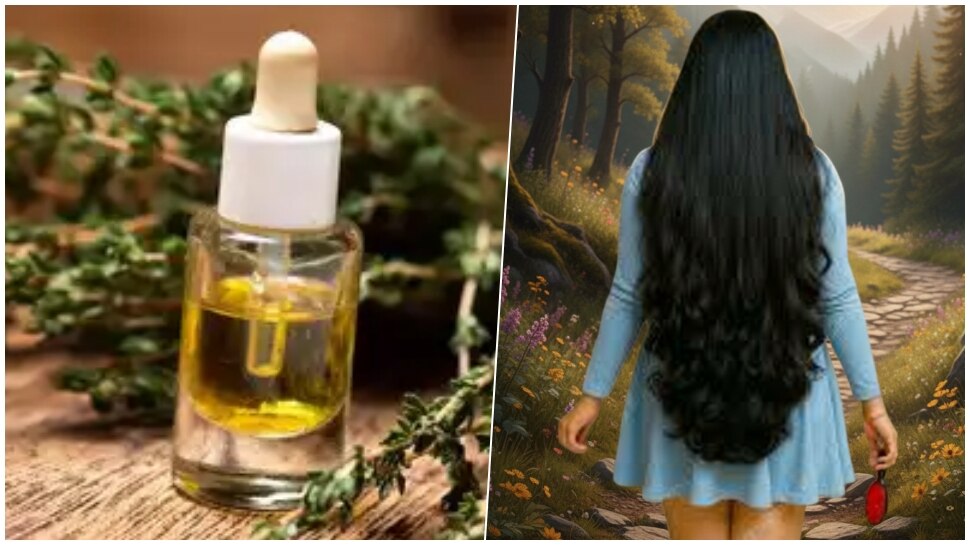 ಬಿಳಿ ಕೂದಲು ಸೇರಿದಂತೆ ಉದುರುವಿಕೆಯನ್ನು ಕೇವಲ 7 ದಿನಗಳಲ್ಲಿ ನಿಲ್ಲುತ್ತೆ ಈ ಒಂದು ಎಣ್ಣೆ! ಕಡಿಮೆ ದುಡ್ಡು ಹೆಚ್ಚು ಪರಿಣಾಮ