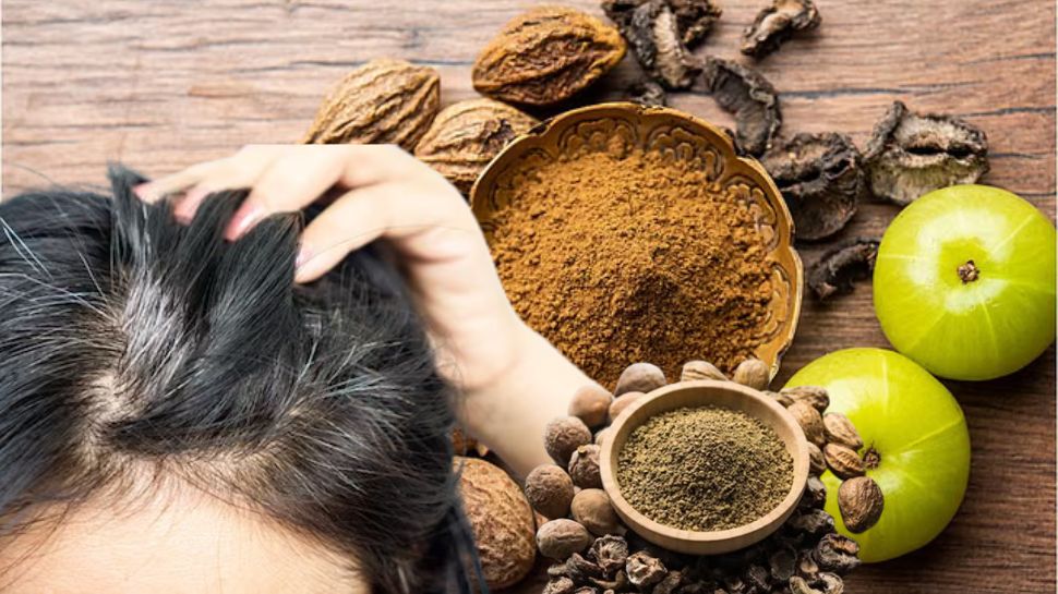 ಹೇರ್‌ ಡೈ ಅಗತ್ಯವಿಲ್ಲ, ಈ ಪುಡಿಯನ್ನು ನೀರಿಗೆ ಬೆರೆಸಿ ಹಚ್ಚಿದ್ರೆ.. ಬುಡದಿಂದಲೇ ಕಪ್ಪಾಗುತ್ತೆ ಬಿಳಿ ಕೂದಲು!