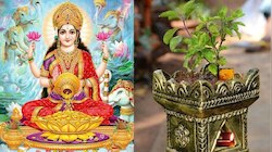 ಈ ದಿನದಂದು ತುಳಸಿ ಗಿಡ ನೆಟ್ಟರೇ ಒಲಿಯುವುದು ಅದೃಷ್ಟ! ಸದಾ ನೆಲೆಸುವಳು ಲಕ್ಷ್ಮಿ..