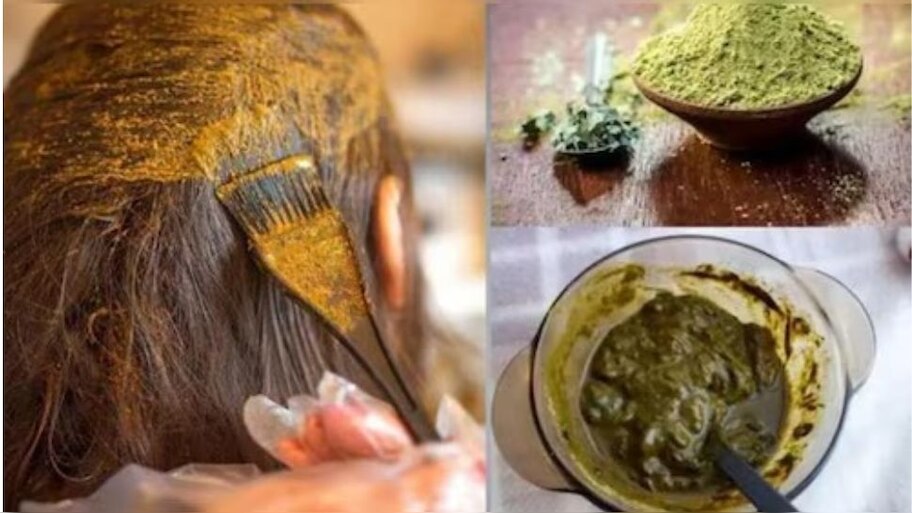 ಗೋರಂಟಿಯೊಂದಿಗೆ ಈ ಎಲೆ ಬೆರೆಸಿ ಹಚ್ಚಿದ್ರೆ ಕಡುಕಪ್ಪಾಗುತ್ತವೆ ಬಿಳಿಕೂದಲು! ಅದೂ ಕೂಡ ಹತ್ತೇ ನಿಮಿಷದಲ್ಲಿ..