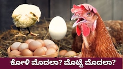 ಕೋಳಿ ಮೊದಲಾ? ಮೊಟ್ಟೆ ಮೊದಲಾ? ಶತಮಾನಗಳ ಗೊಂದಲಕ್ಕೆ ಕೊನೆಗೂ ಸಿಕ್ಕಿತು ವೈಜ್ಞಾನಿಕ ಉತ್ತರ! 