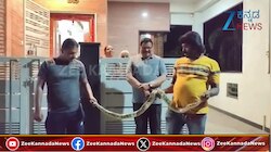 ಮನೆಯ ಶೌಚಾಲಯದಲ್ಲಿ ಹೆಬ್ಬಾವು... ವಾಚ್‌ ವಿಡಿಯೋ
