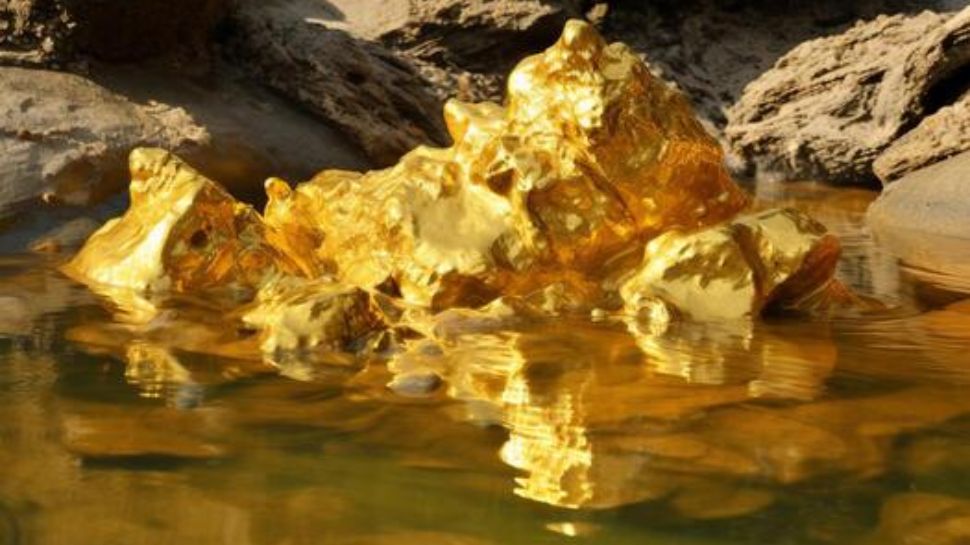 Gold Flowing Rivers in India | ಗಣಿಗಳಿಂದಲ್ಲ, ಭಾರತದ ಈ ನದಿಯಲ್ಲಿ ಹರಿಯುತ್ತೆ ...
