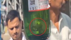Viral Video: ಚಿಲ್ಡ್‌ ಬಿಯರ್‌ ಬಾಟಲಿಯಲ್ಲಿ ಮೀನು.. ಎಣ್ಣೆ ಏಟಲ್ಲಿದ್ದ ಮದ್ಯಪ್ರಿಯ ಮಾಡಿದ್ದೇನು ಅಂದ್ರೆ..! ವಿಡಿಯೋ ನೋಡಿ