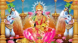 ವಾಸ್ತು ಪ್ರಕಾರ ಈ ಪ್ರಾಣಿಗಳು ಮನೆಯಲ್ಲಿದ್ರೆ ಲಕ್ಷ್ಮಿದೇವಿ ಆಶೀರ್ವಾದ ಸಿಗುತ್ತೆ; ಹಣದ ಕೊರತೆಯೇ ಇರಲ್ಲ!