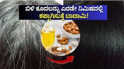 ಹೇರ್‌ ಡೈ ಬೇಡವೇ ಬೇಡ.. ಬಿಳಿ ಕೂದಲನ್ನು ಎರಡೇ ನಿಮಿಷದಲ್ಲಿ ಕಪ್ಪಾಗಿಸುತ್ತೆ ಬಾದಾಮಿ! ಬಳಸುವ ವಿಧಾನ ಹೀಗಿದೆ
