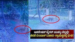 ಆಪರೇಷನ್‌ ಟೈಗರ್‌ ಯಶಸ್ವಿ ಬೆನ್ನಲ್ಲೇ ಚಿರತೆ ಬಿಂದಾಸ್ ಓಡಾಟ- CCTV ಯಲ್ಲಿ ದೃಶ್ಯ ಸೆರೆ