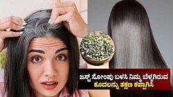 ಹೇರ್‌ ಡೈ ಅಲ್ಲ.. ಜಸ್ಟ್‌ ಸೋಂಪು ಬಳಸಿ ನಿಮ್ಮ ಬೆಳ್ಳಗಿರುವ ಕೂದಲನ್ನು ತಕ್ಷಣ ಕಪ್ಪಾಗಿಸಿ