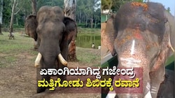 ಏಕಾಂಗಿಯಾಗಿದ್ದ ಗಜೇಂದ್ರ‌ ಮತ್ತಿಗೋಡು‌ ಶಿಬಿರಕ್ಕೆ ರವಾನೆ