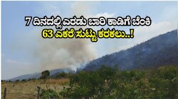 7 ದಿನದಲ್ಲಿ ಎರಡು ಬಾರಿ ಕಾಡಿಗೆ ಬೆಂಕಿ: 63 ಎಕರೆ ಸುಟ್ಟು ಕರಕಲು..!