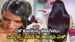 ನೀವು ಬಳಸುವ ಶಾಂಪೂವಿನಲ್ಲಿ ಈ ವಸ್ತುಗಳನ್ನು ಮಿಕ್ಸ್‌ ಮಾಡಿ ಬಳಸಿದ್ರೆ ನ್ಯಾಚುರಲ್‌ ಆಗಿ ಕಪ್ಪಾಗುತ್ತೆ ಬಿಳಿ ಕೂದಲು