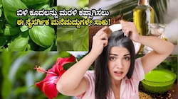 ಕೆಮಿಕಲ್‌ ಡೈ ಬೇಡ.. ಬಿಳಿ ಕೂದಲನ್ನು ಮರಳಿ ಕಪ್ಪಾಗಿಸಲು ಈ ನೈಸರ್ಗಿಕ ಮನೆಮದ್ದುಗಳೇ ಸಾಕು!