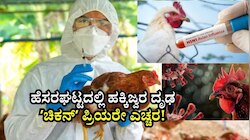 H5N1: ಹೆಸರಘಟ್ಟದಲ್ಲಿ ಹಕ್ಕಿಜ್ವರ ದೃಢ: ʼಚಿಕನ್‌ʼ ಪ್ರಿಯರೇ ಎಚ್ಚರ!