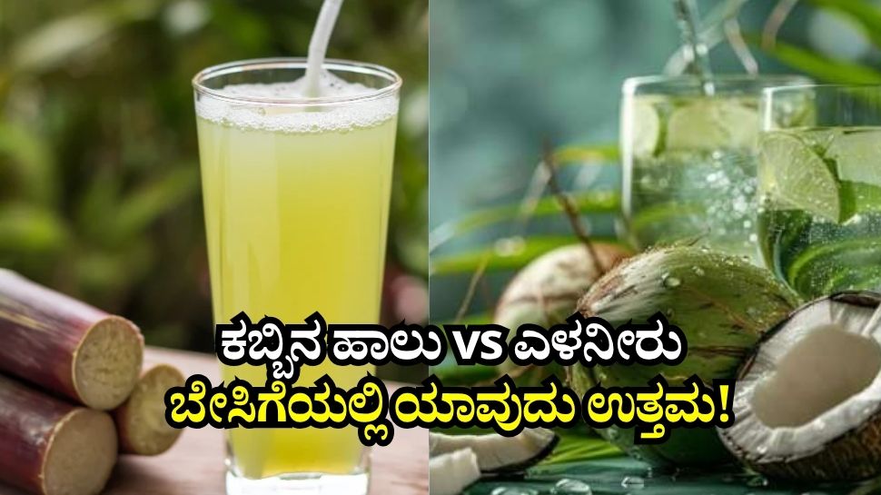 ಕಬ್ಬಿನ ಹಾಲು vs ಎಳನೀರು: ಬೇಸಿಗೆ ತಾಪ ನೀಗಿಸಲು ಯಾವ ಪಾನೀಯ ಉತ್ತಮ..!
