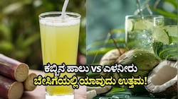 ಕಬ್ಬಿನ ಹಾಲು vs ಎಳನೀರು: ಬೇಸಿಗೆ ತಾಪ ನೀಗಿಸಲು ಯಾವ ಪಾನೀಯ ಉತ್ತಮ..!