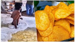 ಬಾಯಿ ಚಪ್ಪರಿಸಿ ಚಿಪ್ಸ್‌ ತಿನ್ನುವ ಮುನ್ನ ಒಮ್ಮೆ ಈ ವಿಡಿಯೋ ನೋಡಿ..! ಜೀವನದಲ್ಲೇ ಅವುಗಳನ್ನ ಮುಟ್ಟಲ್ಲ ನೀವು