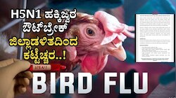 ನವಿಲುಗಳಲ್ಲಿ H5N1 ಹಕ್ಕಿಜ್ವರ (ಏವಿಯನ್ ಇನ್ಫ್ಲೂಯೆನ್ಸಾ ) ಔಟ್‌ಬ್ರೇಕ್‌: ಜಿಲ್ಲಾಡಳಿತದಿಂದ ಕಟ್ಟೆಚ್ಚರ..!