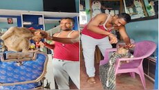 Viral Video: ಸಲೂನ್‌ನಲ್ಲಿ ಶಿಸ್ತಿನಿಂದ ಕೇಶ ವಿನ್ಯಾಸ ಮಾಡಿಸಿಕೊಂಡ ಮಂಗ!
