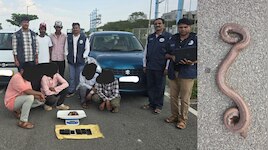 ಕೋಟಿ ಕೋಟಿ ಆಸೆ ತೋರಿಸಿ ಎರಡು ತಲೆ ಹಾವಿನ ಡೀಲ್: ರೆಡ್ ಹ್ಯಾಂಡ್ ಆಗಿ ಹಿಡಿದ ಪೊಲೀಸರು..!