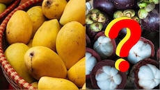  Queen Of Fruits: ಹಣ್ಣುಗಳ ರಾಜ 'ಮಾವು', ಹಾಗಿದ್ರೆ ಹಣ್ಣುಗಳ 'ರಾಣಿ' ಯಾವುದು ಗೊತ್ತಾ? 