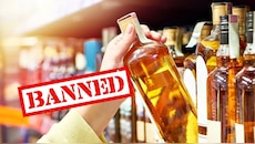  Alcohol Ban: ಮದ್ಯ‌ ಪ್ರಿಯರಿಗೆ ಶಾಕ್! ಈ ಗ್ರಾಮದಲ್ಲಿ ಆಲ್ಕೋಹಾಲ್‌ ಮಾರಾಟ ಮಾಡಿದ್ರೆ 5 ಲಕ್ಷ ದಂಡ, ಖರೀದಿಸಿದರೆ 2 ಲಕ್ಷ ದಂಡ