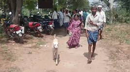 ಯಾರೇ ತೀರಿದ್ರೂ ಸ್ಮಶಾನದವರೆಗೆ ಸಾಥ್ ಕೊಡುತ್ತೆ ಈ ಬೀದಿ ನಾಯಿ..!