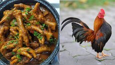 Chicken Secrets: ಕೋಳಿ ಕಾಲುಗಳನ್ನು ತಿನ್ನಬಹುದೇ? ತಿಂದರೆ ಏನಾಗುತ್ತೆ ಗೊತ್ತಾ?